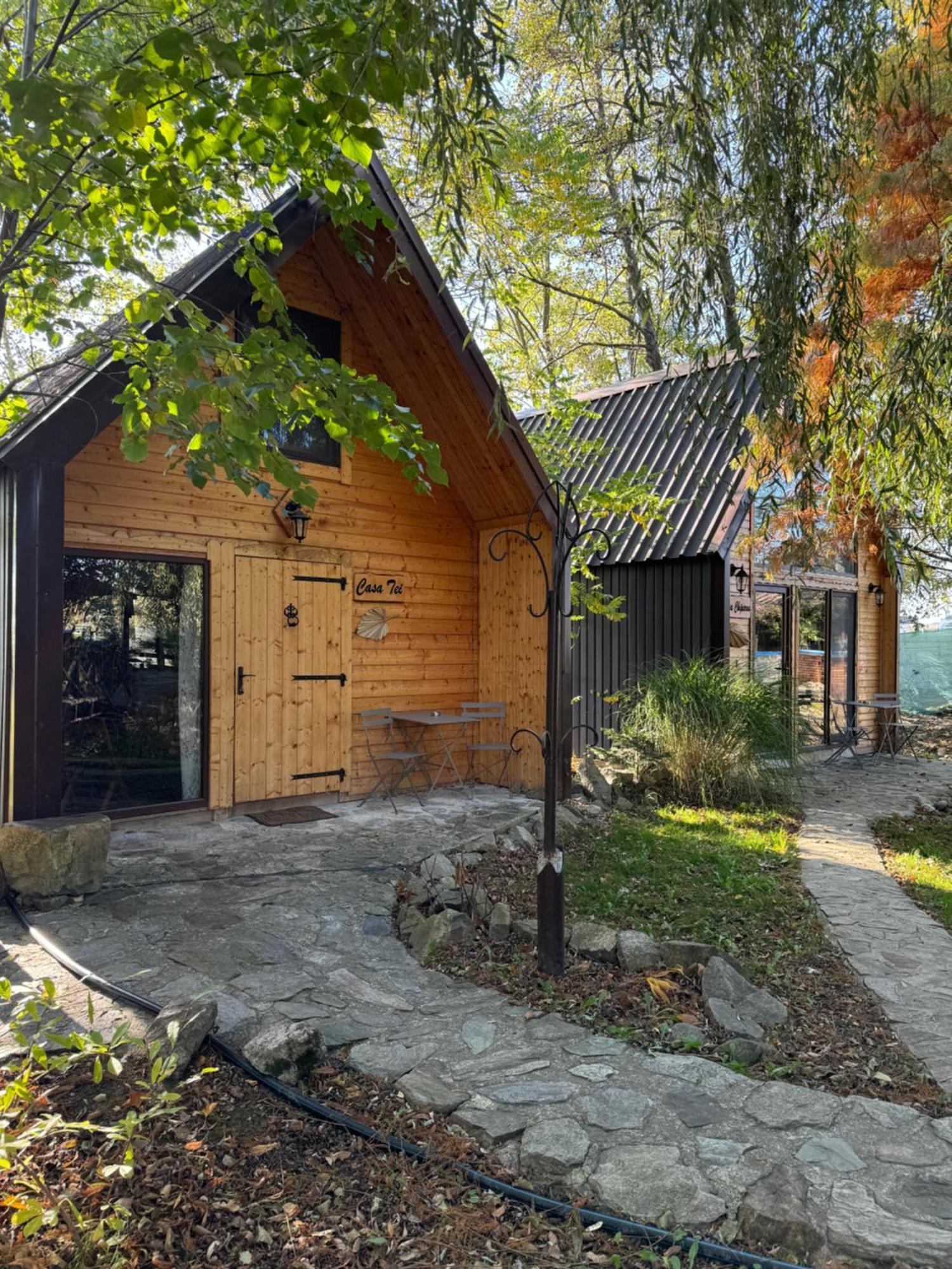 Conacul Lui Patrick Hotel Poenari Exterior photo